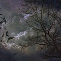 Quiet After the Storm